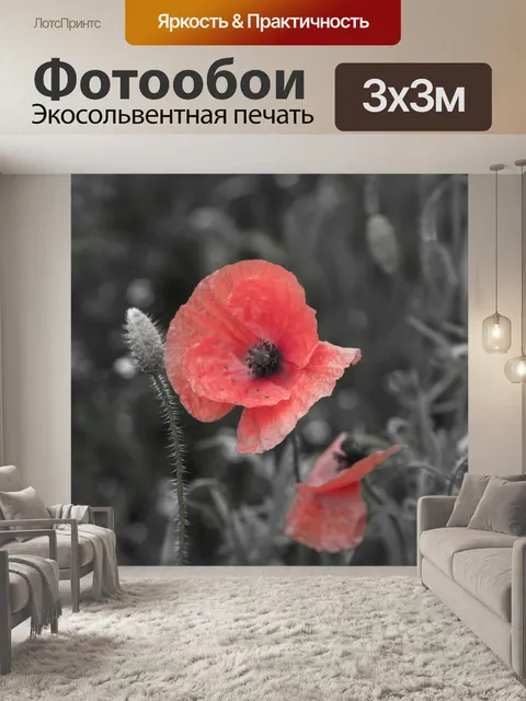 Фотообои Мак цветок