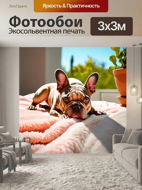 Фотообои французский бульдог, пробуждающийся на утреннем солнце, лежа на мягком пледе на террасе, в технике…
