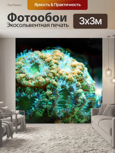 Фотообои Коралл