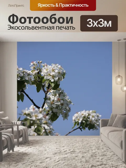 Фотообои Расцветает