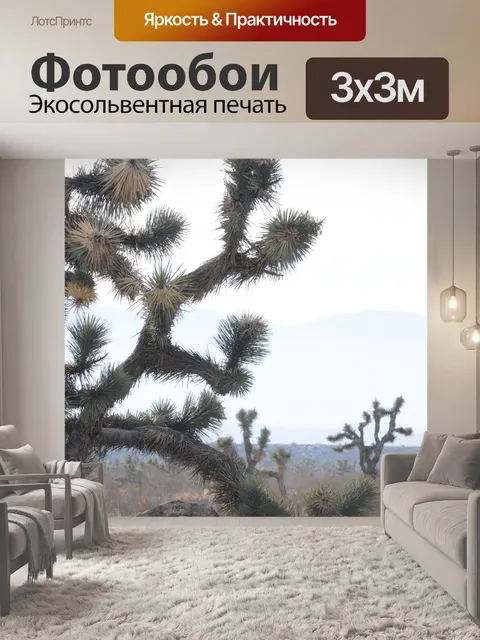 Фотообои Joshua Tree Background