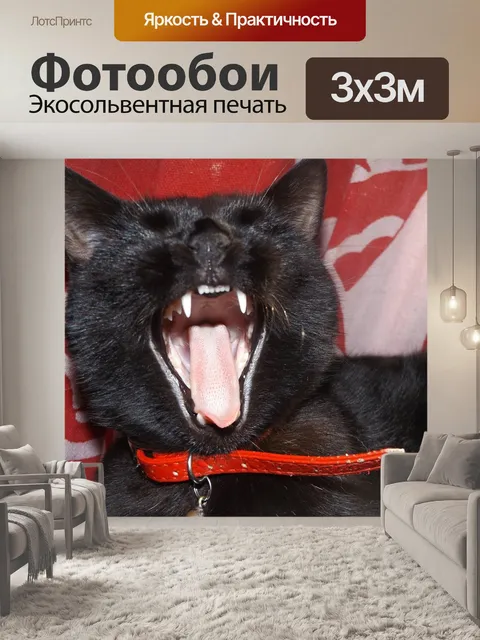 Фотообои Кошка