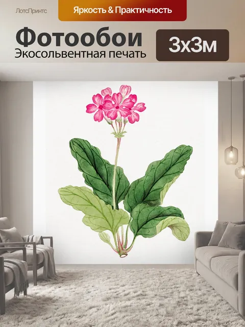 Фотообои Цветок первоцвета винтажное искусство