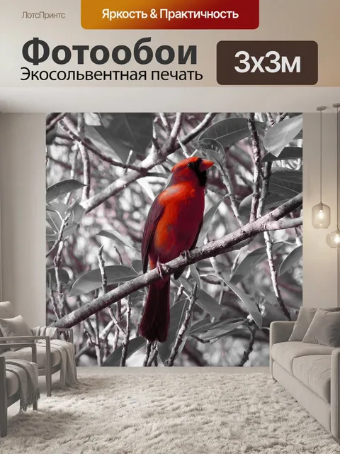 Фотообои Красная кардинальная птица