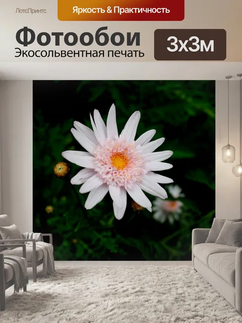 Фотообои светло-розовые маргаритки