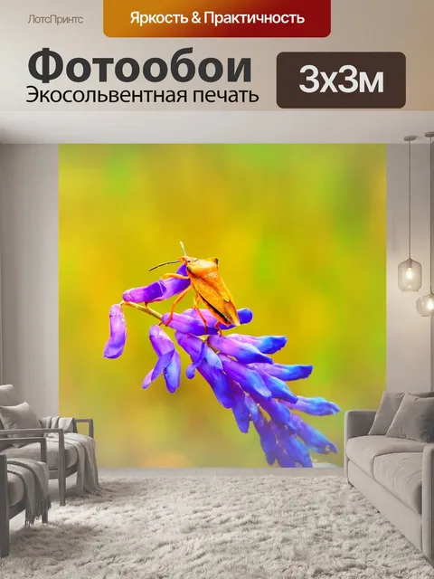Фотообои Borczyniec фруктовый