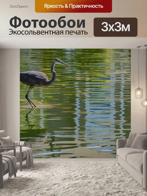 Фотообои Большая голубая цапля