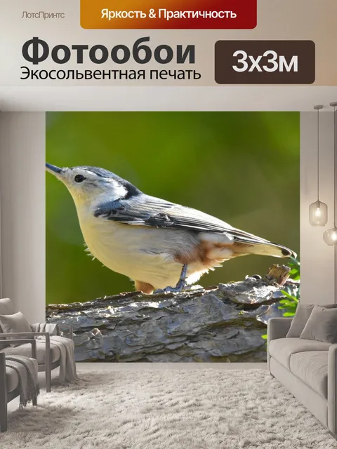 Фотообои Дерево
