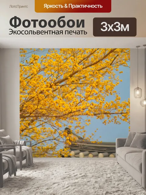 Фотообои Кукурузное молоко