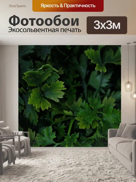 Фотообои Петрушка
