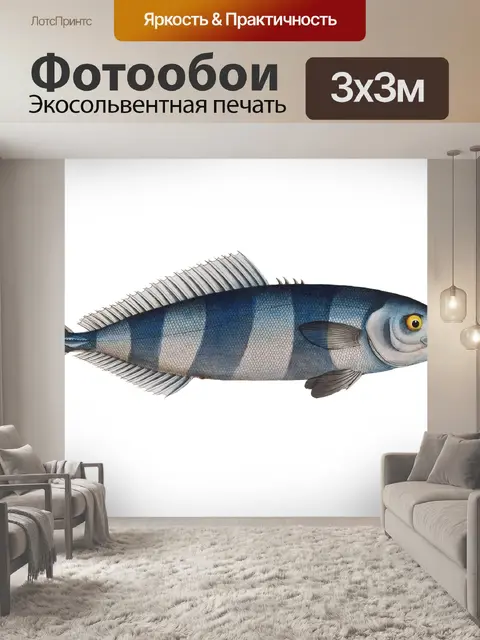 Фотообои Рыба Скумбрия Винтаж Клипарт