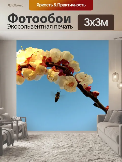 Фотообои Пчела