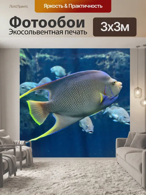 Фотообои Тропический Морская рыба