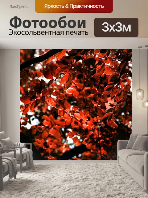 Фотообои Осень листва листья листва дерева