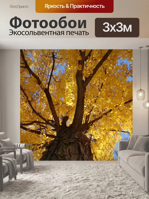 Фотообои Глядя на дерево 2