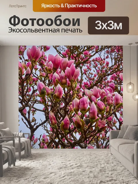 Фотообои Тюльпан магнолия