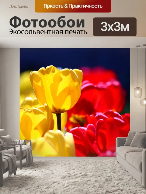 Фотообои Желтые тюльпаны в красном