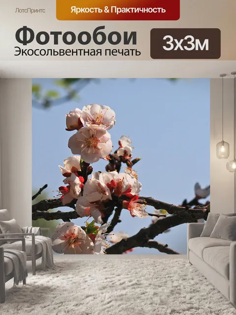 Фотообои розовые цветы в саду весной
