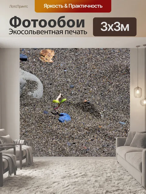 Фотообои Саженец в песке