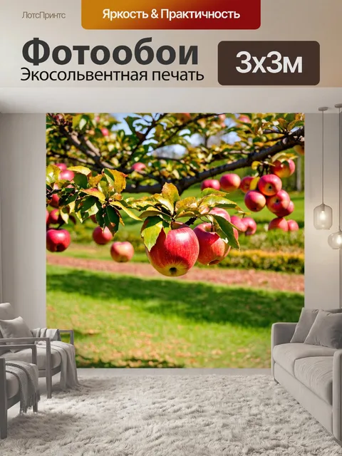 Фотообои осень в саду, яблоневые деревья с яркими плодами, запах свежего воздуха