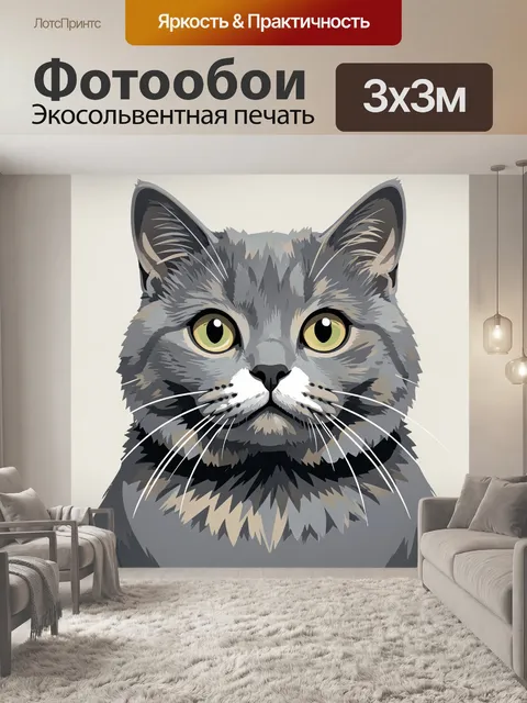 Фотообои Серый кот с большими глазами