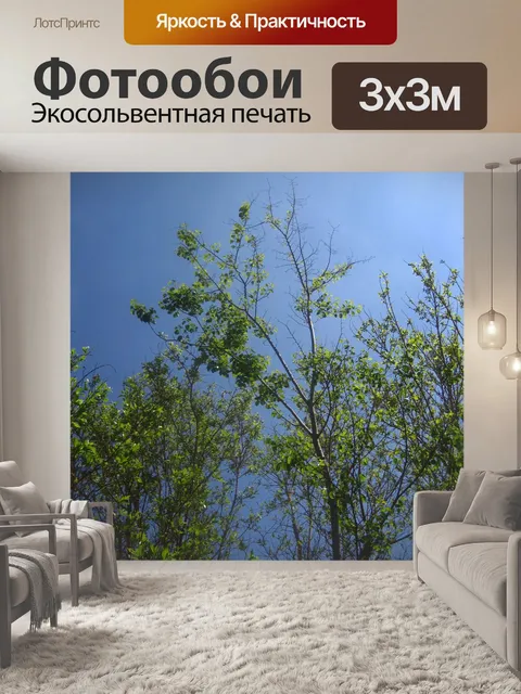Фотообои яркое небо за зеленым деревом