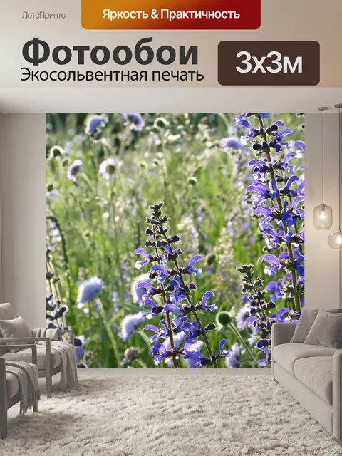 Фотообои Шалфей