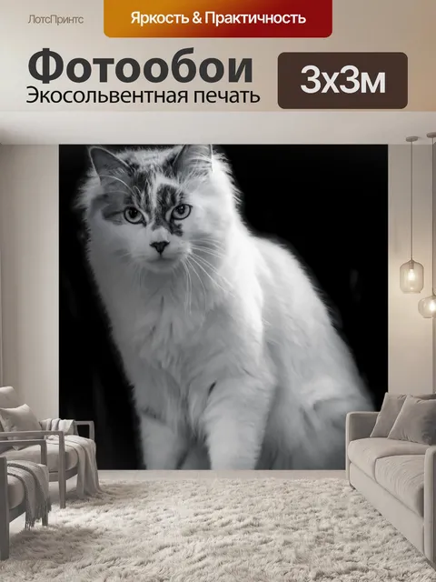 Фотообои Белая кошка