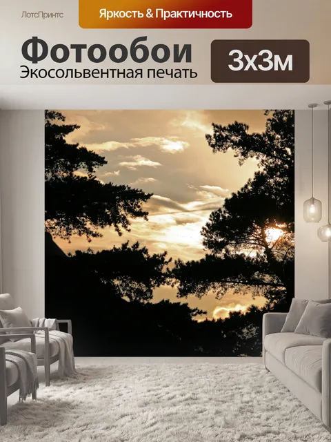 Фотообои хвойные деревья в золотом небе