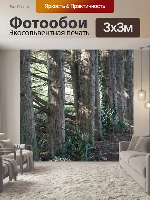 Фотообои Аллея с деревьями