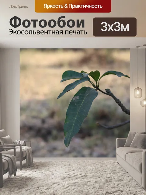 Фотообои Деревня