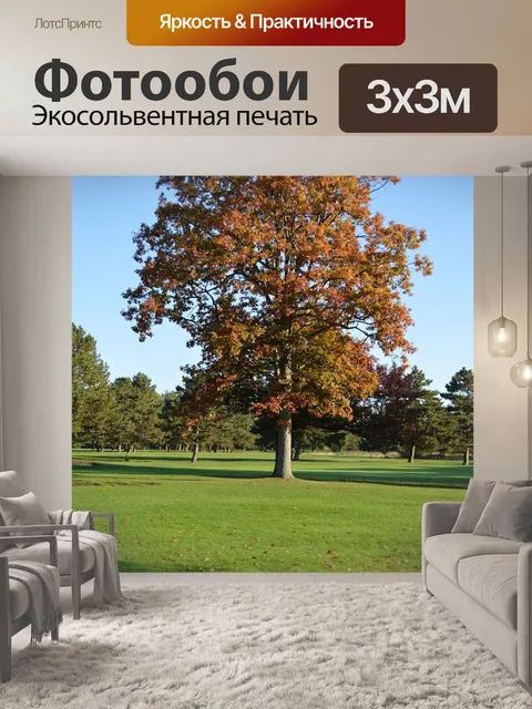 Фотообои Дерево