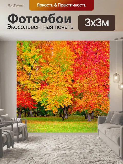Фотообои разноцветные деревья осенью