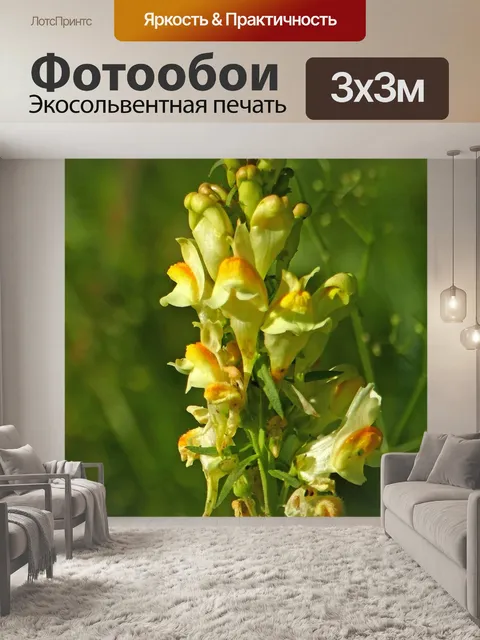 Фотообои Природа