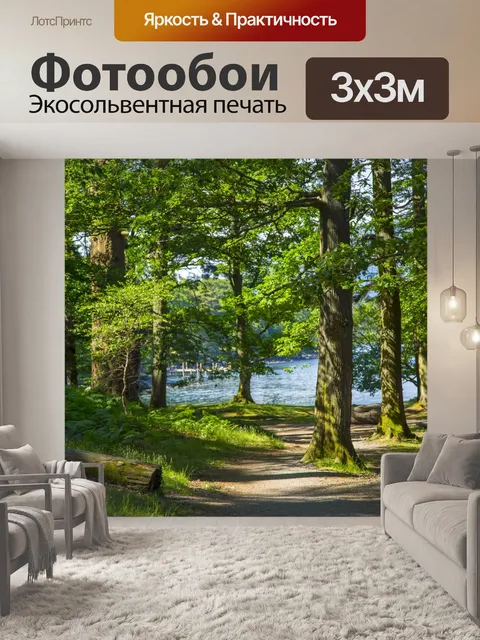 Фотообои лес
