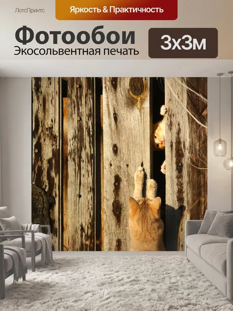 Фотообои Кот