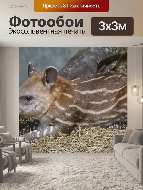 Фотообои Животные