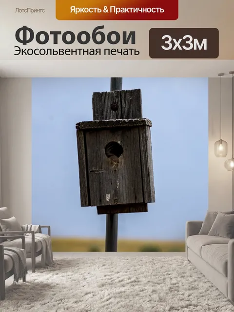 Фотообои Скворечник