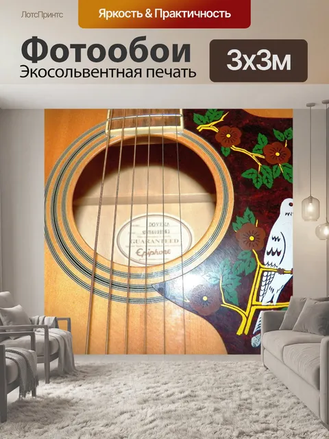 Фотообои Голубь гитары