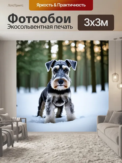 Фотообои цвергшнауцер на фоне зимнего леса, покрытого инеем и снегом, его шерсть блестит на солнце