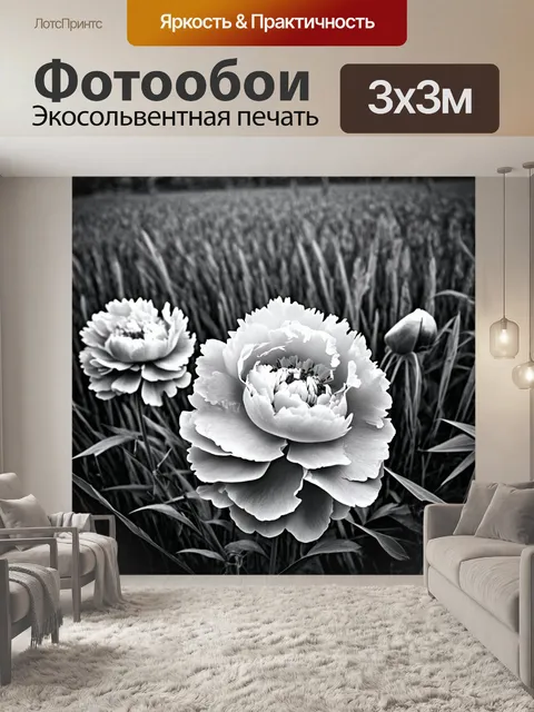 Фотообои пионы в черно-белом стиле