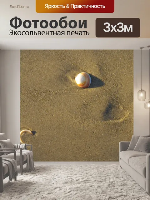 Фотообои Морские ракушки на песчаном пляже