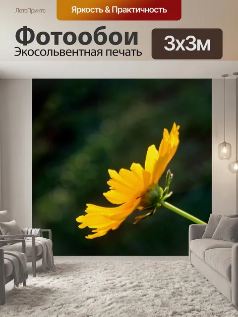 Фотообои вид сбоку желтая ромашка