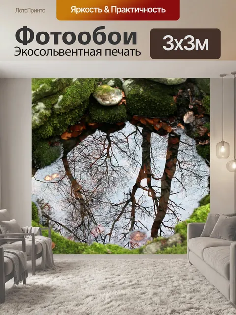 Фотообои Природа