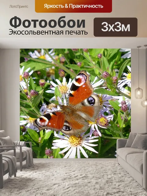 Фотообои Павлиний глаз