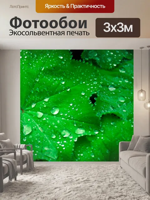 Фотообои Зеленые листья с каплями воды