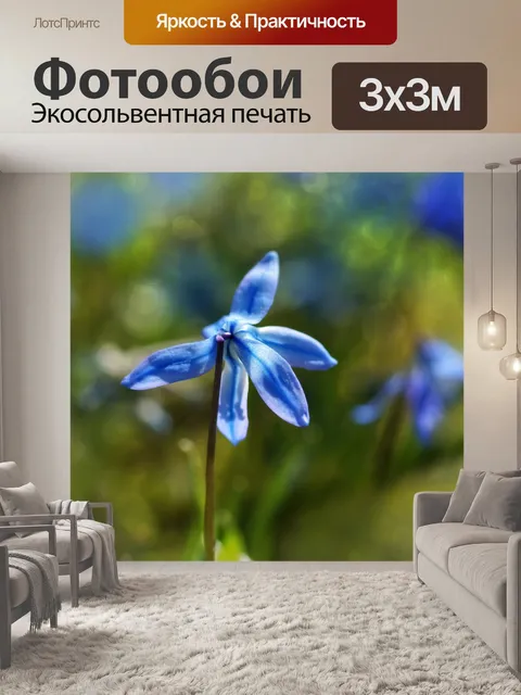 Фотообои Цветение цветов синий луг