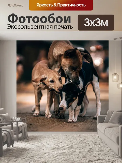 Фотообои Три