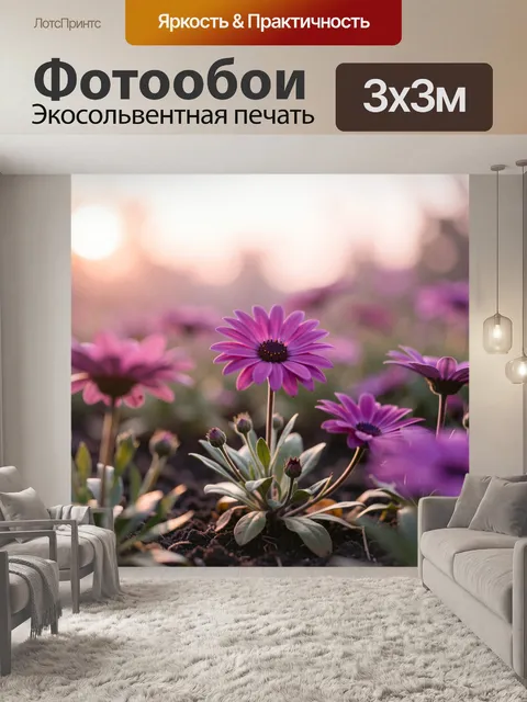 Фотообои Фиолетовые ромашки на закате