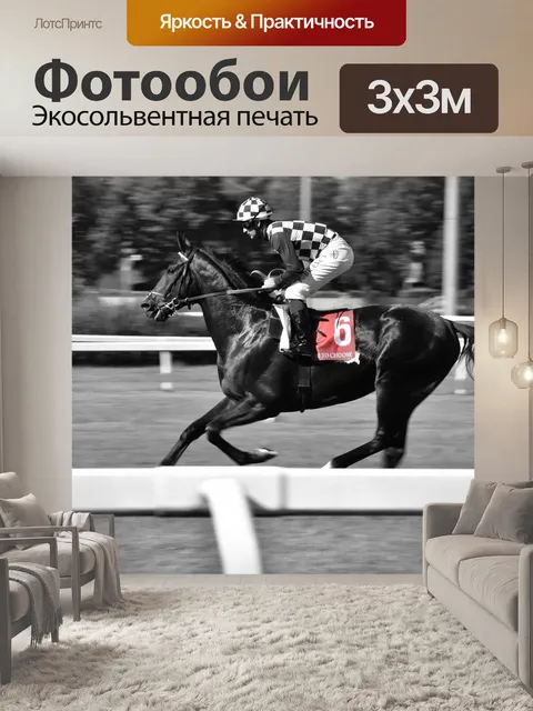 Фотообои Лошадь